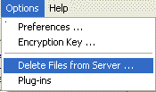 options_menu_delete_files.gif